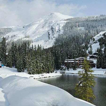 Hotel Sportalmmm, Hoch-Genuss (Adults Only) Zauchensee Bagian luar foto