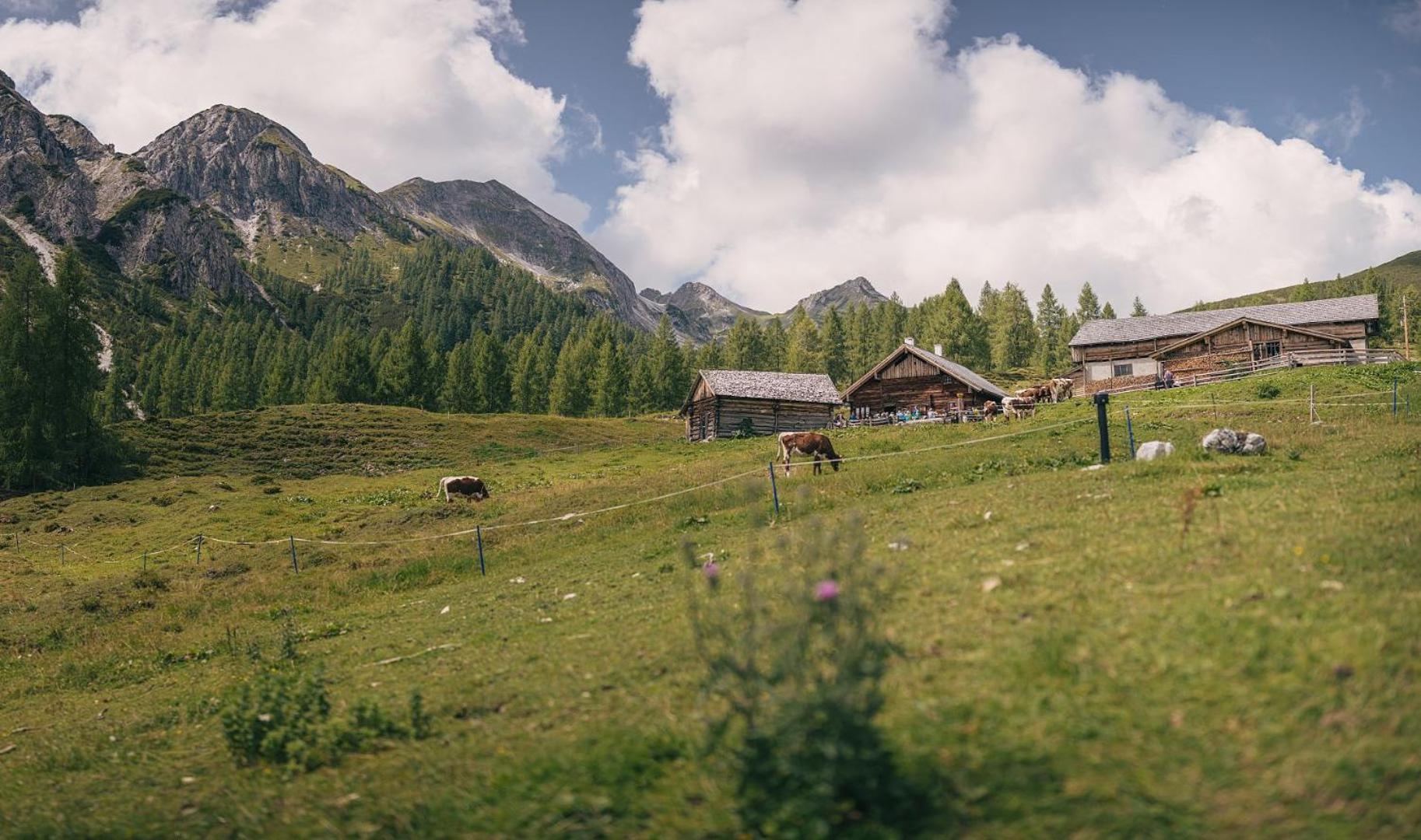 Hotel Sportalmmm, Hoch-Genuss (Adults Only) Zauchensee Bagian luar foto
