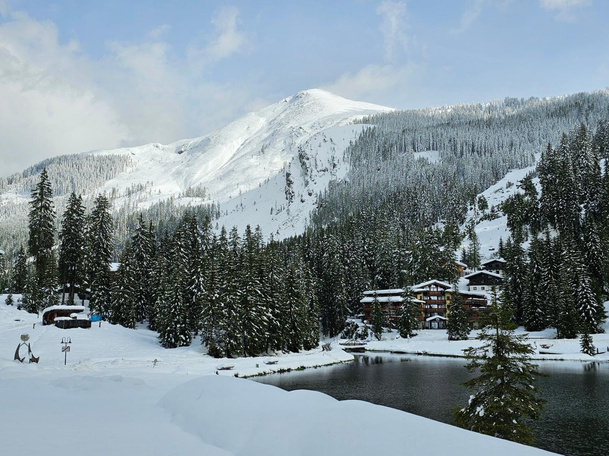 Hotel Sportalmmm, Hoch-Genuss (Adults Only) Zauchensee Bagian luar foto